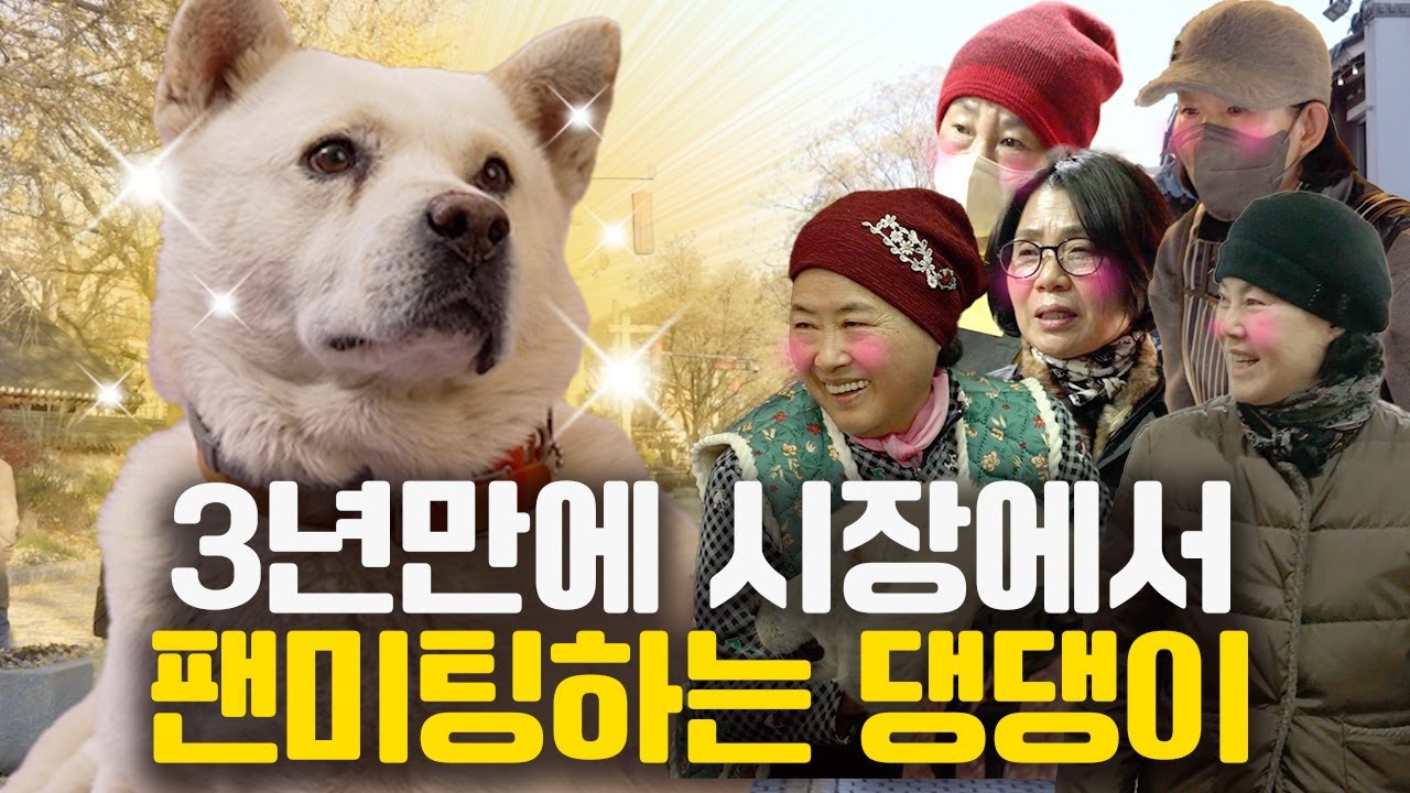 이사간지 3년만에 고향에 놀러가는 심돌이 #댕킷리스트