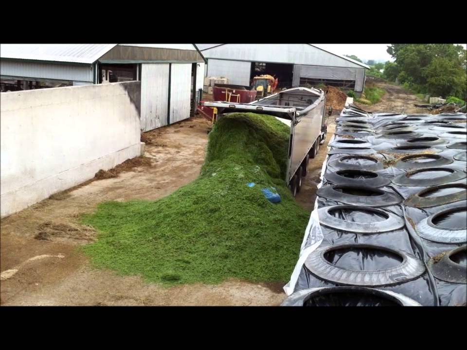 Live Bottom hauling agricultural product