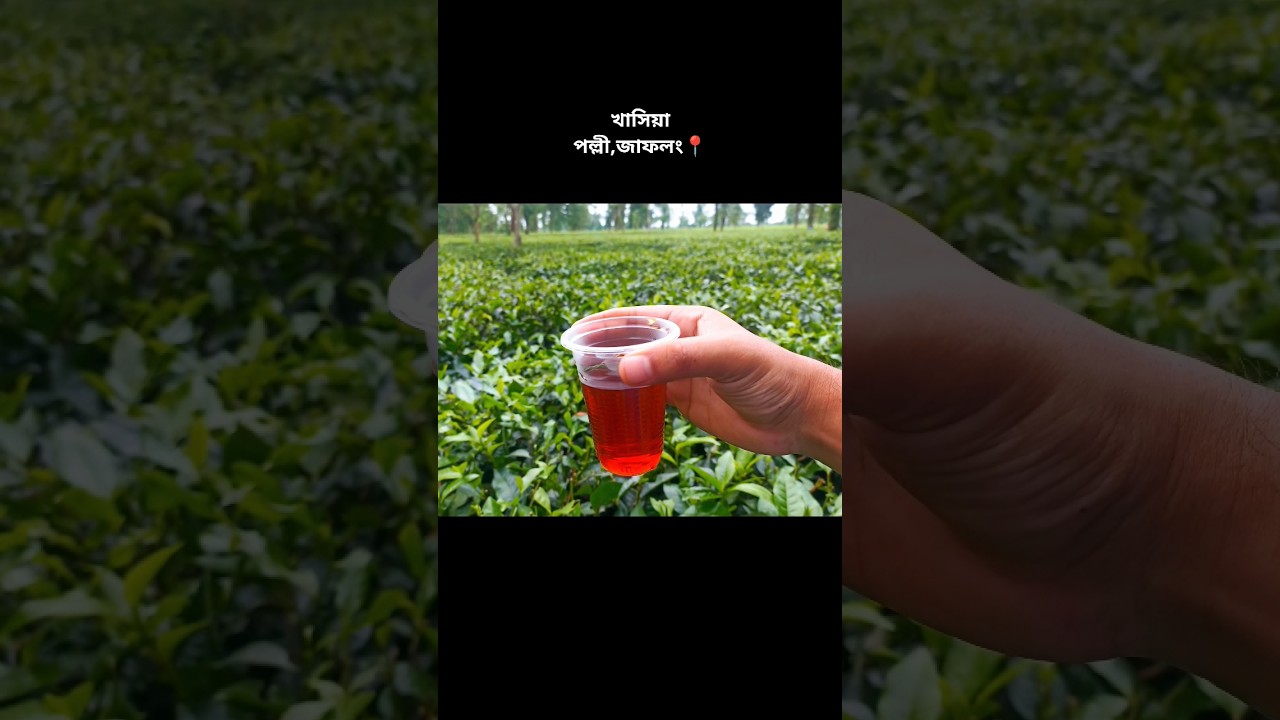 Khasiya Palli Tea, Jaflong Sylhet📍 #shortsviral #travel #viralvideo #viral