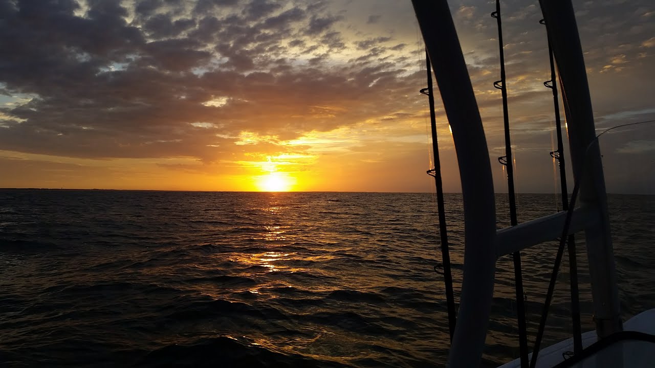 Offshore Fishing off of Cape Lookout/ Morehead city in a 19' Boat. We caught Mahi, Tuna, Triggers.