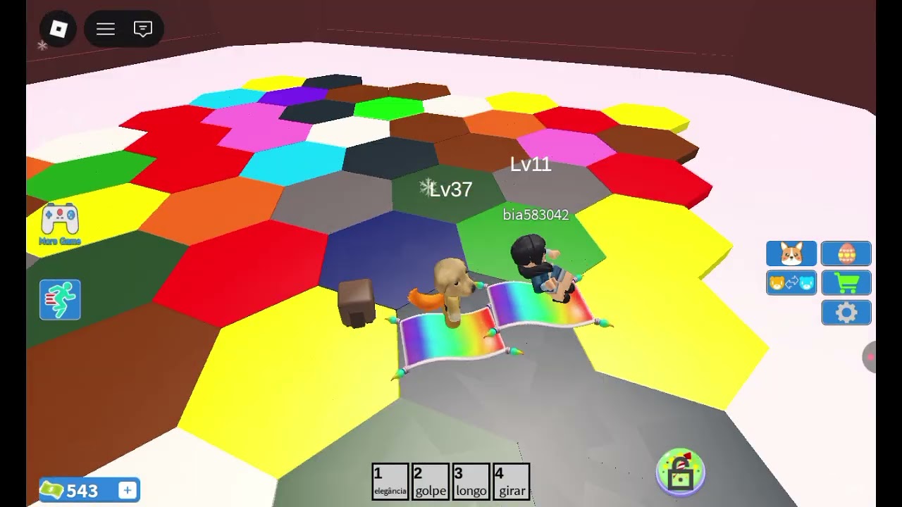 Dog luciano jogando color block