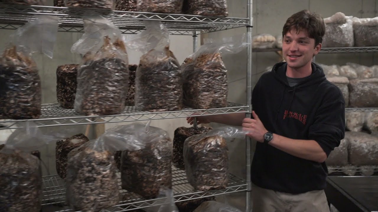 Rock City Mushroom Farm tour