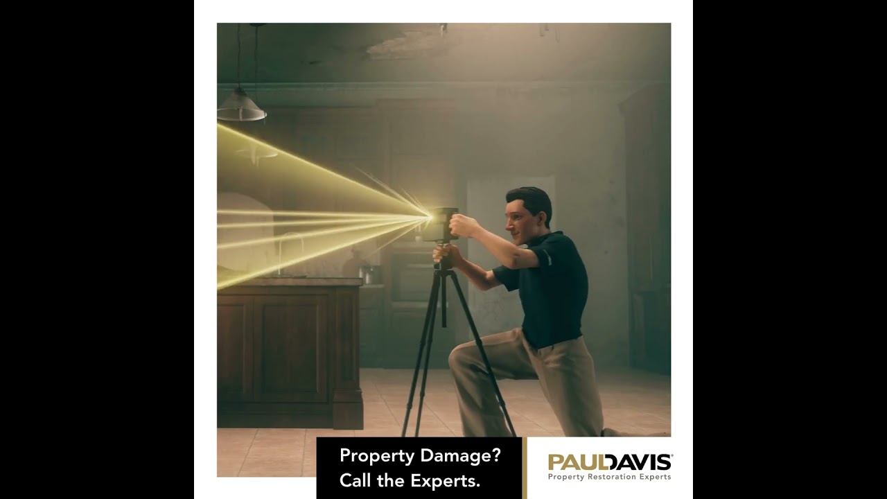 Paul Davis Property Restoration Experts