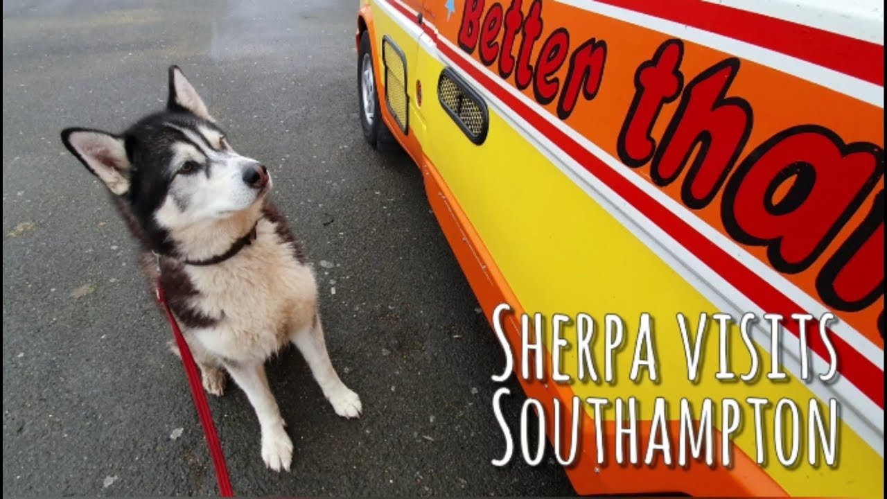 Sherpa in Southampton (UK) exploring the castle walls