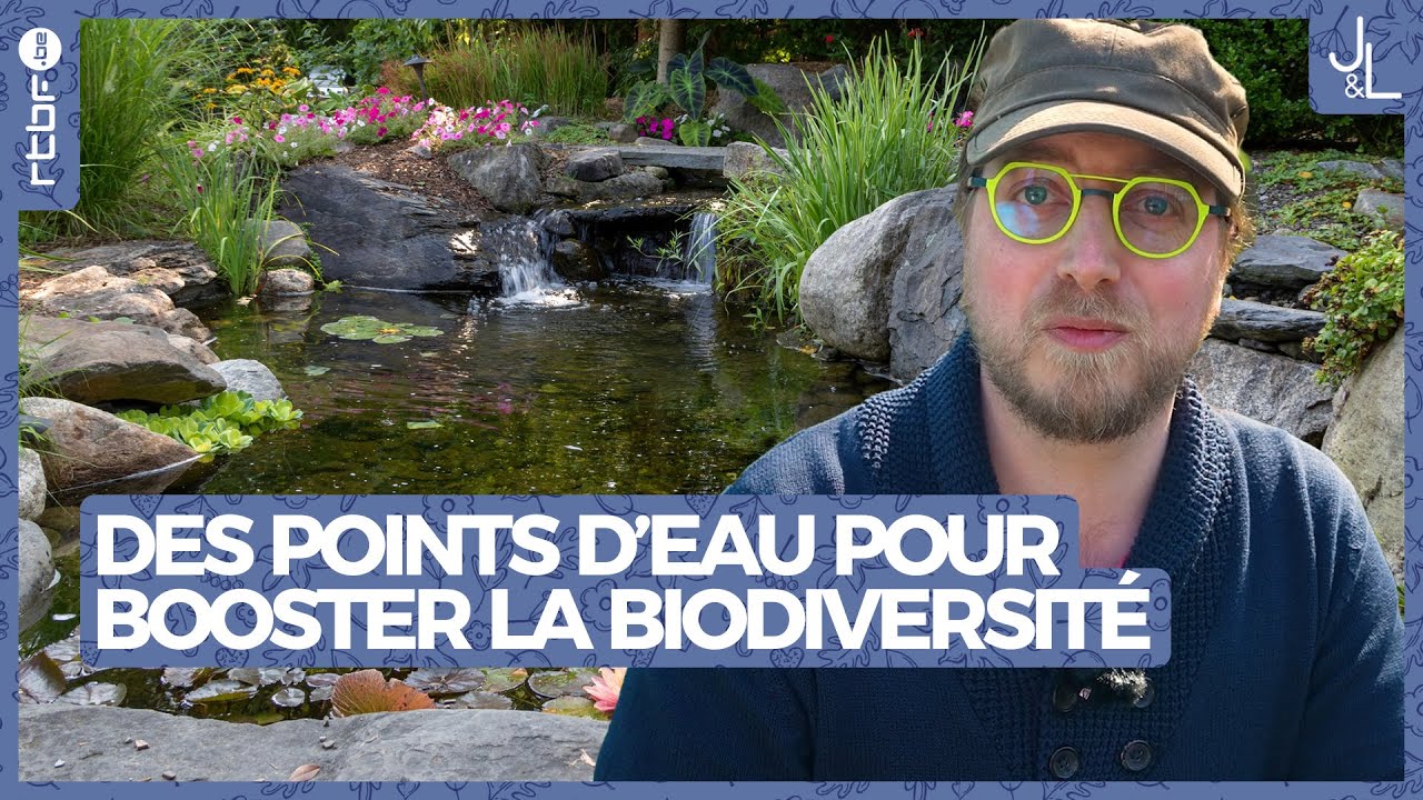 Des points d'eau dans votre jardin pour booster la biodiversité | Jardins et Loisirs