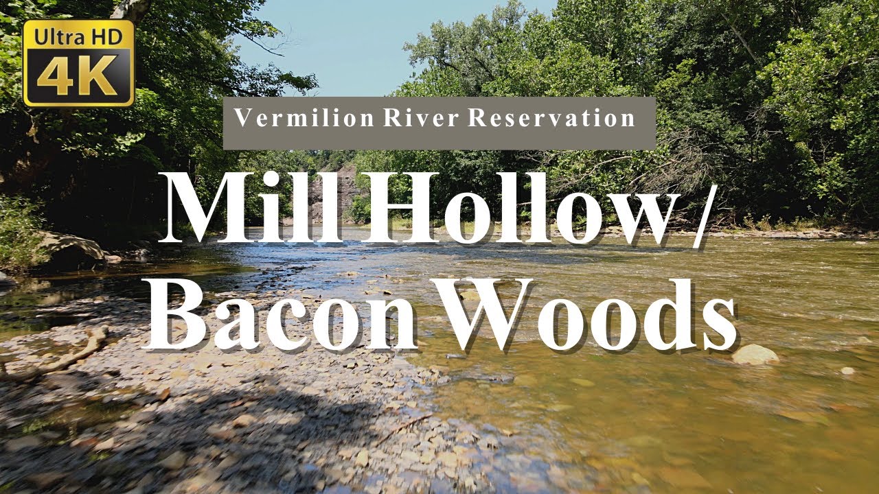 Mill Hollow / Bacon Woods - Vermilion River Reservation, Ohio  [4K]