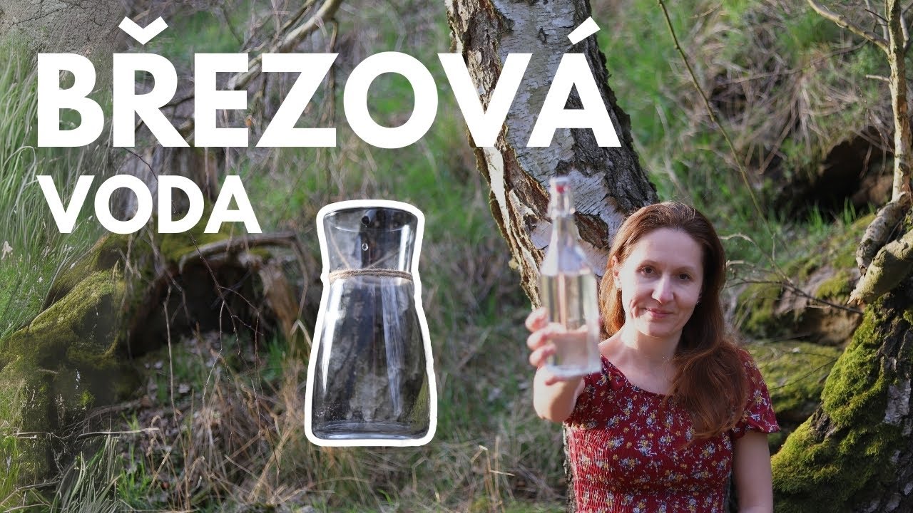 BŘEZOV&Aacute; VODA | Jak ji z&iacute;skat