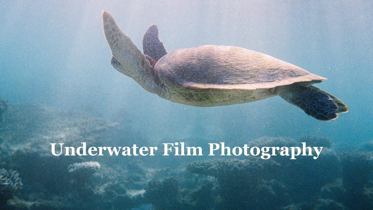 Underwater Film Photography With a Nikonos V