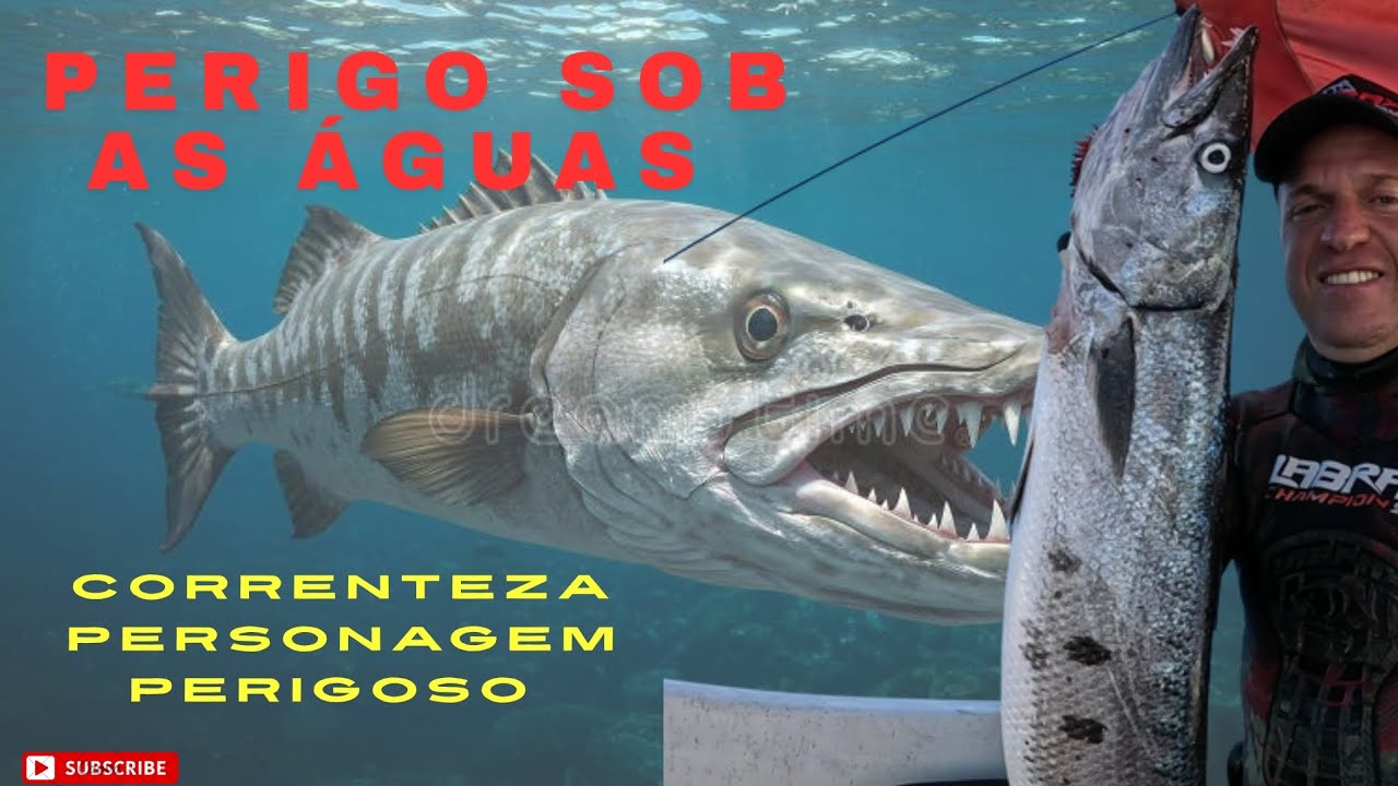 FORTES CORRENTES MERGULHO DIFÍCIL. 
