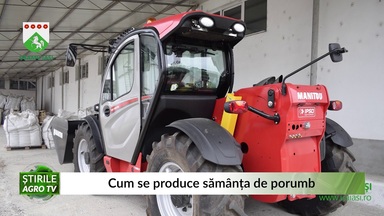 Cum se produce sămânța de porumb 15 10 2020