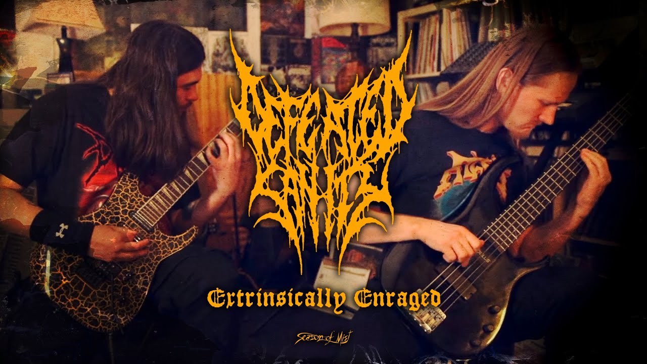 Defeated Sanity - 