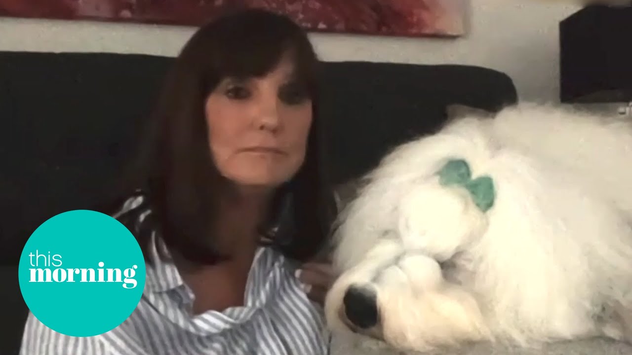 The Dulux Dog is at Risk of Dying Out | This Morning