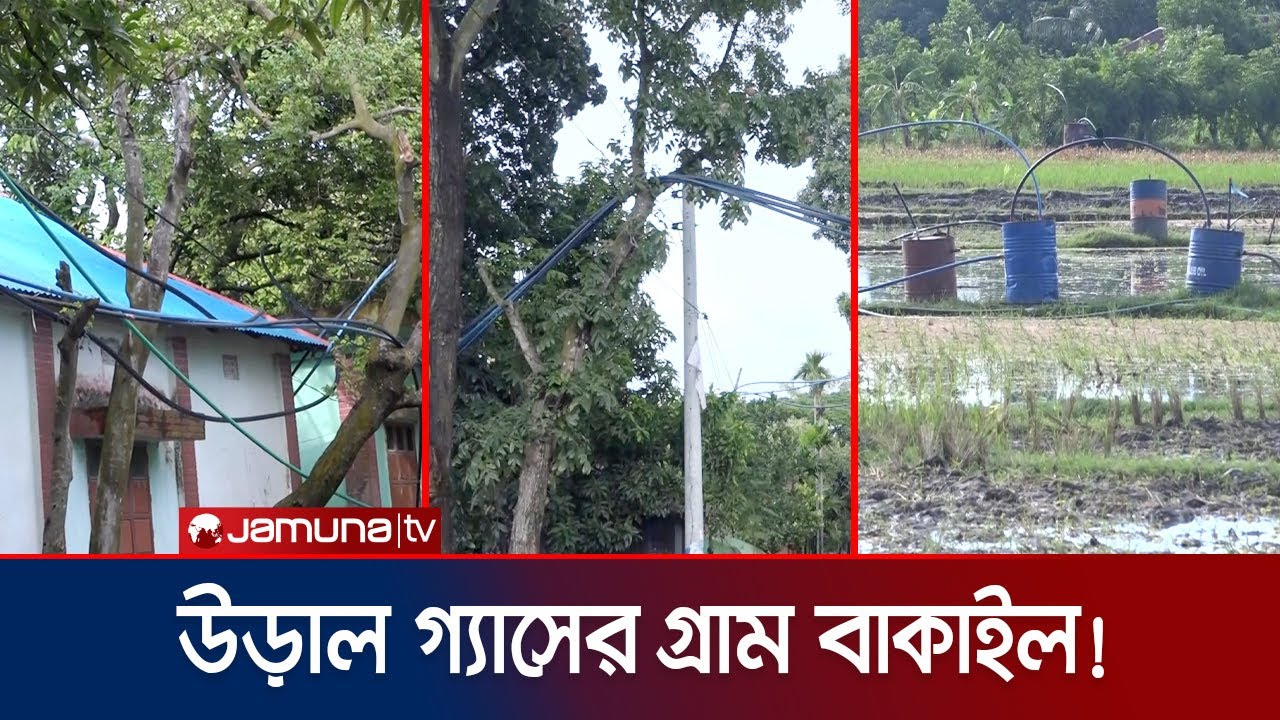 গাছের ওপরে ঝুলছে গ্যাসের পাইপ, এ যেন উড়াল গ্যাসের গ্রাম! | Brahmanbaria | Jamuna TV