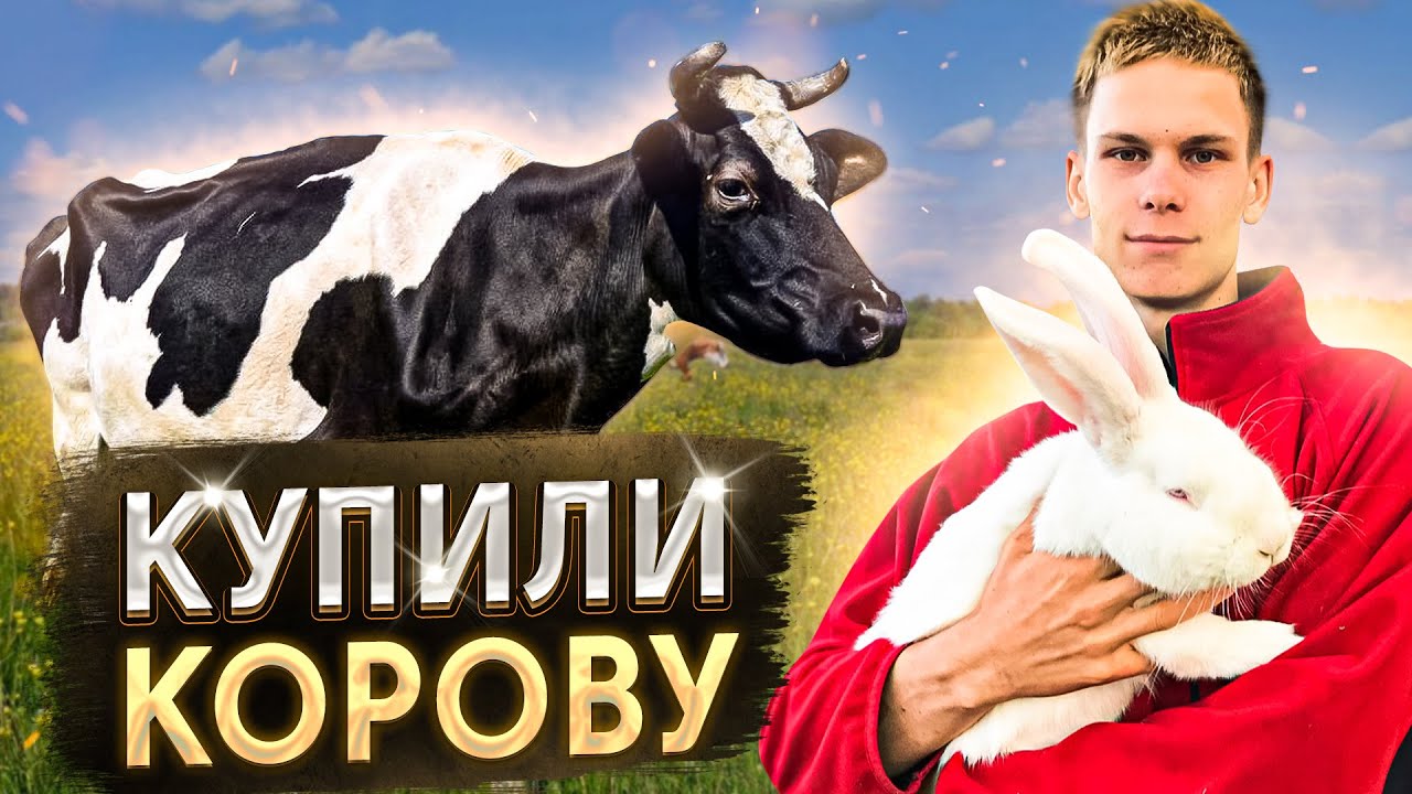 Хозяйство Расширяется : Приобрели КОРОВУ  | Будем ждать пополнения кроликов / Управа у птицы 🐔