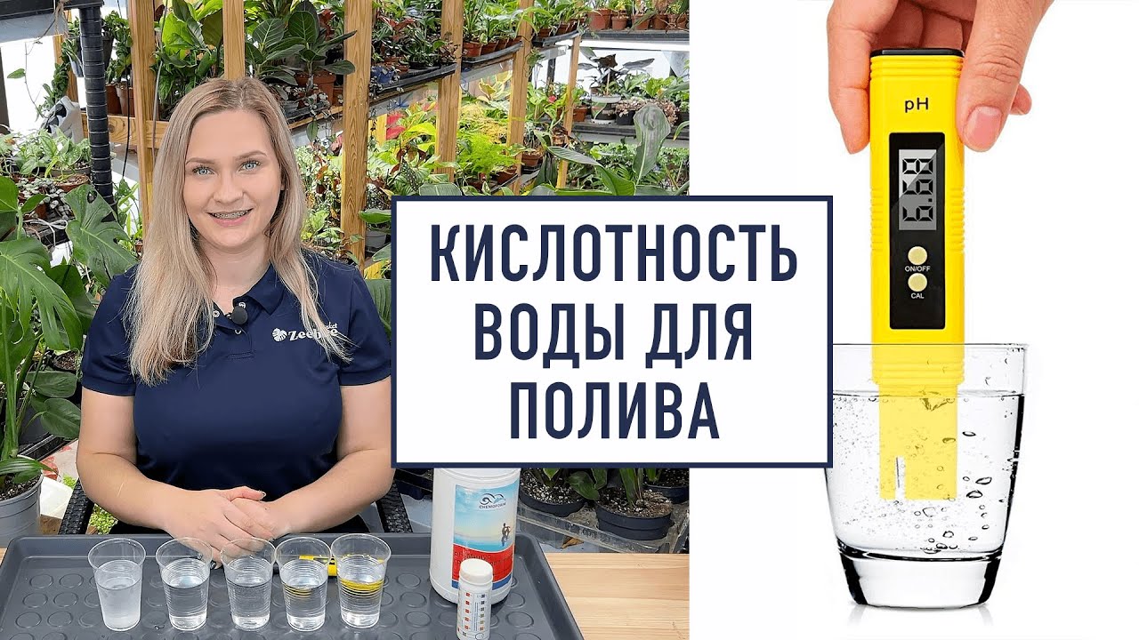 Определяем кислотность воды для полива растений