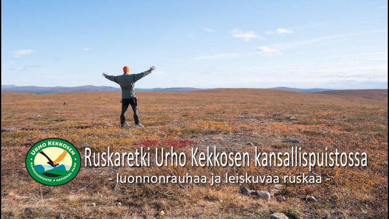 Soolovaellus Urho Kekkosen kansallispuistossa 2021: erämaan rauhaa ja leiskuvaa ruskaa.