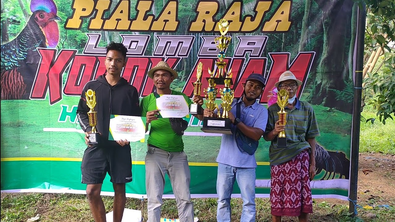 Al hamdulillah Si RADEN Dapat Juara satu lomba Kokok ayam hutan hijau PIALA RAJA