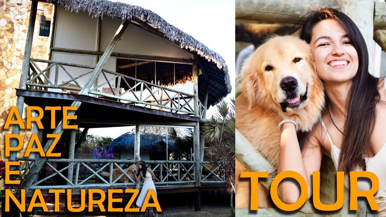 TOUR PELA CASA de MADEIRA e MATERIAIS de CONSTRUÇAO NATURAIS | Amanda Alves