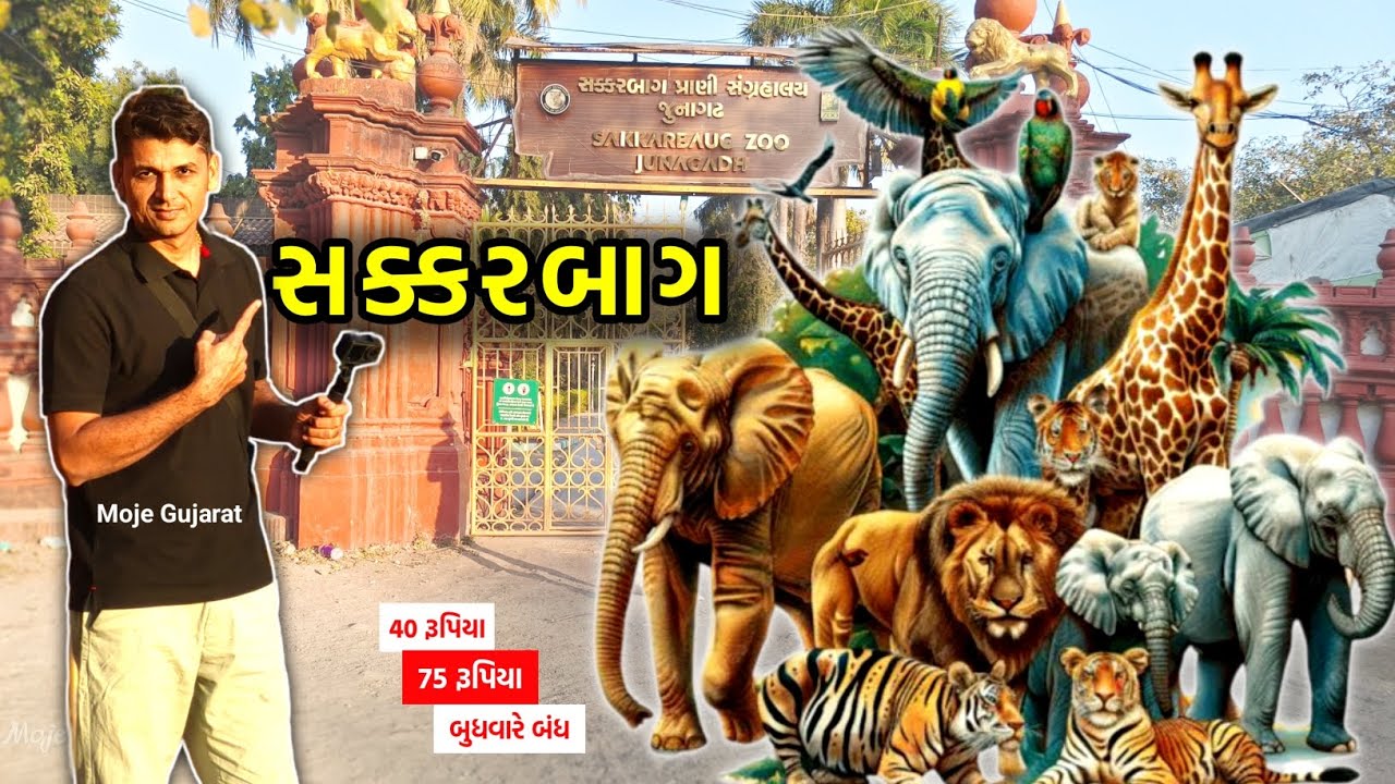 સક્કરબાગ (પ્રાણી સંગ્રહાલય) જૂનાગઢ🦁🐯 - 40 રૂપિયામાં જથ્થાબંધ મજા #mojegujarat #zoo