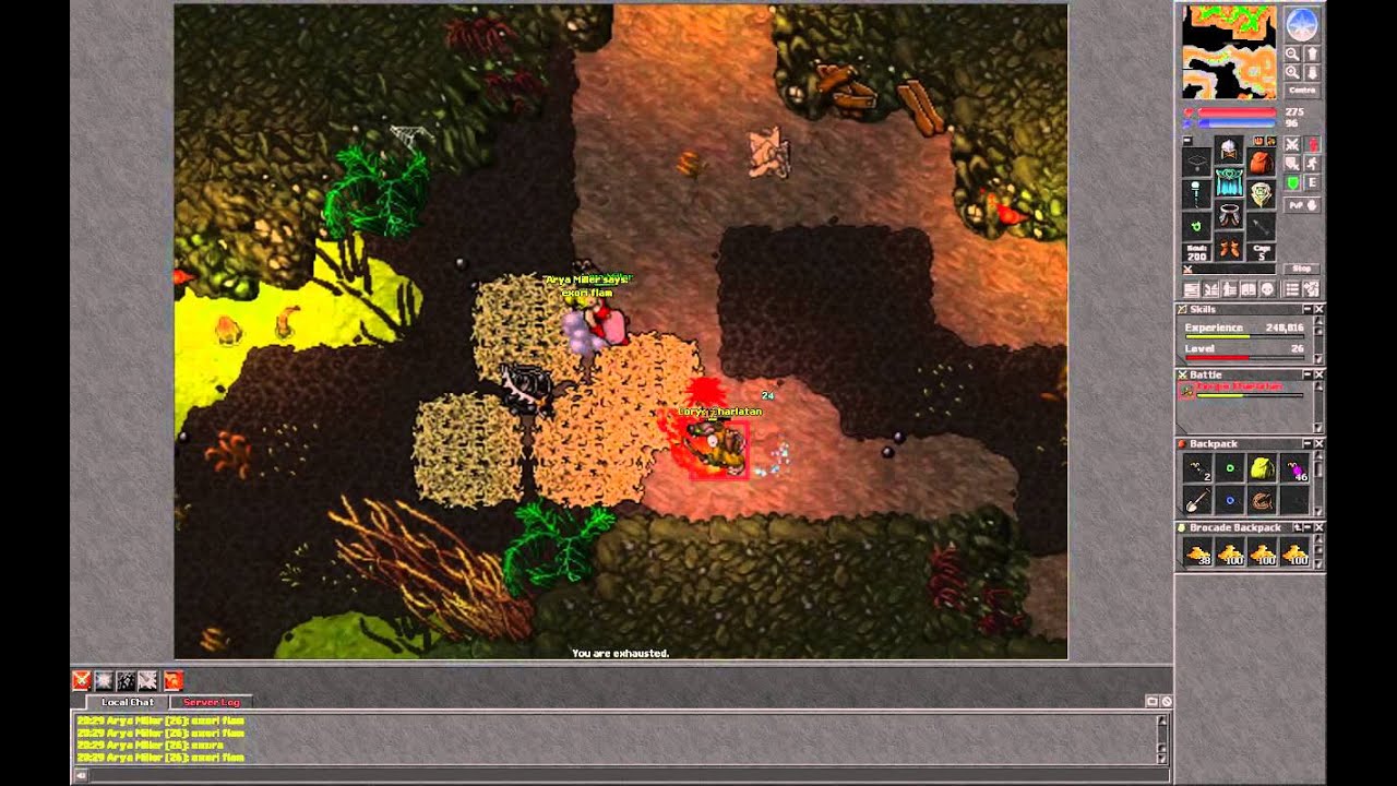 [Tibia] Venore coryms