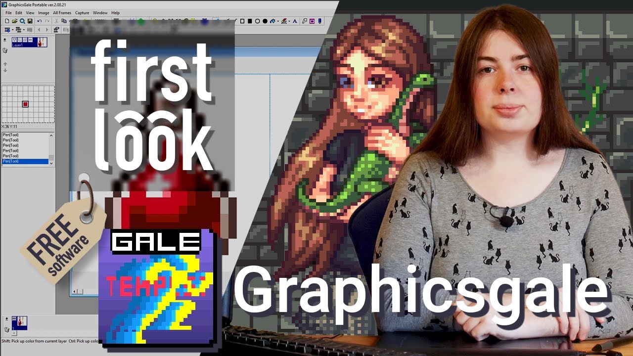GraphicsGale Pixelgrafik | first look @ Medieninformatik Software