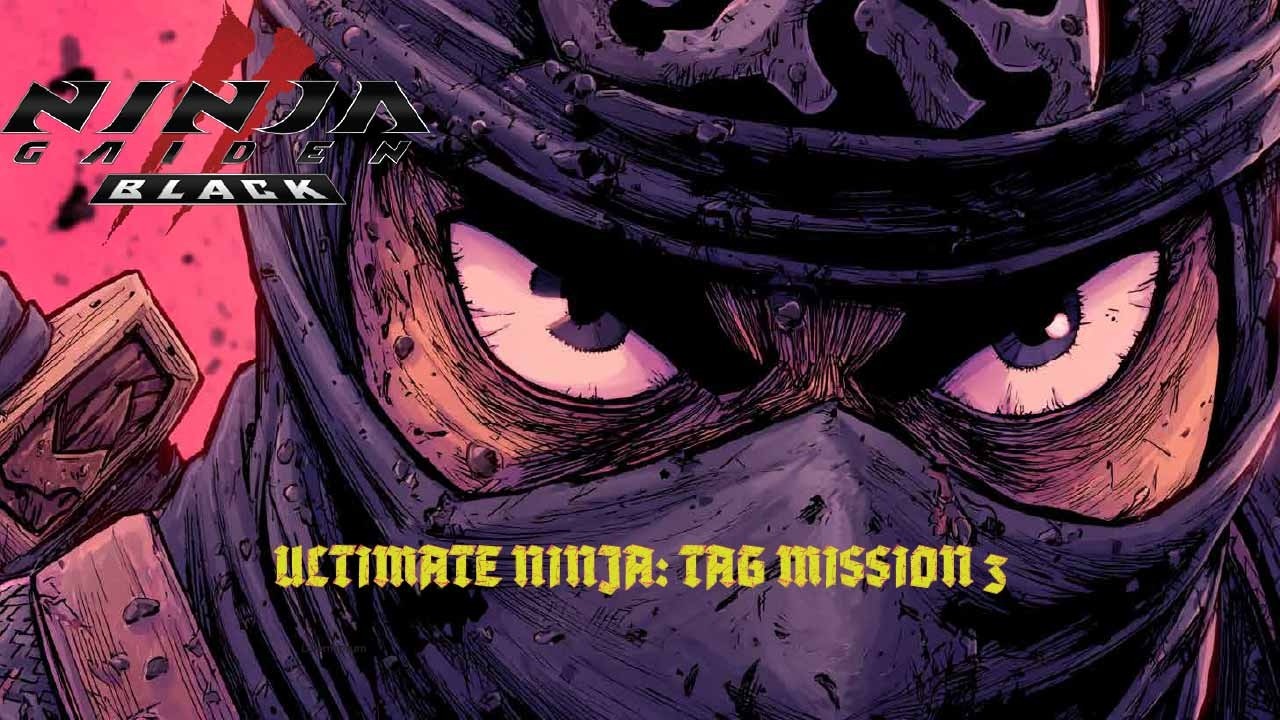 Ninja Gaiden 2: Black Ultimate Ninja Tag Mission 3