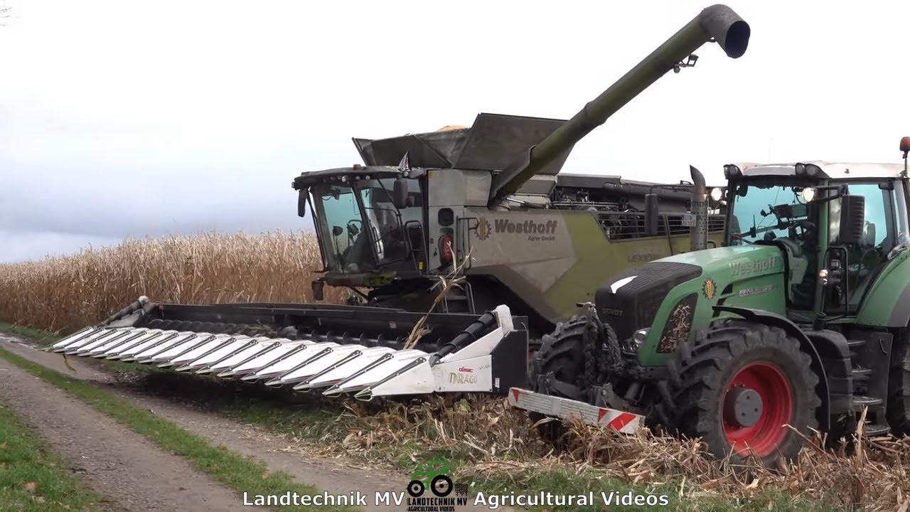 Claas - Fendt - Annaburger -+ / Körnermais Ernten - Harvesting Corn  2021  Westhoff Agrar