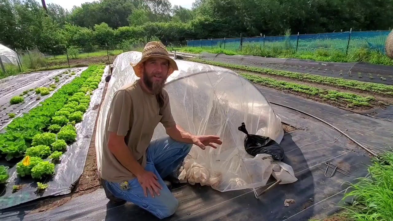 How to Build a Poly Low Tunnel