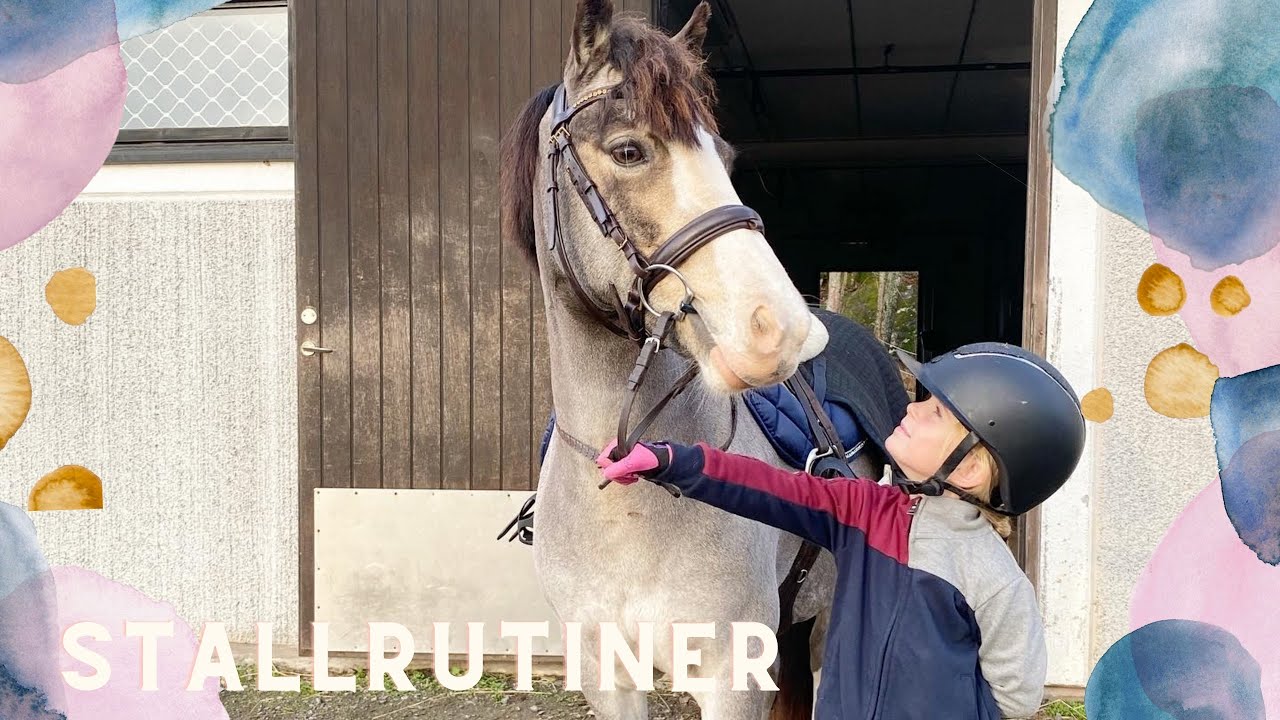 Chloe visar upp vår stallrutiner, hur sköter vi ens våra hästar? - VLOGG