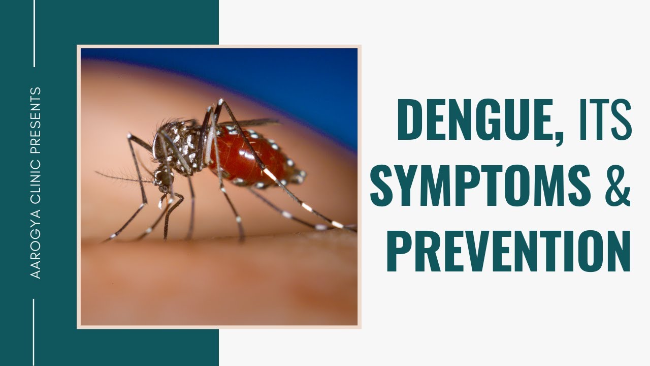 Dengue Fever Symptoms and Prevention | Dr. Sharad Gupta