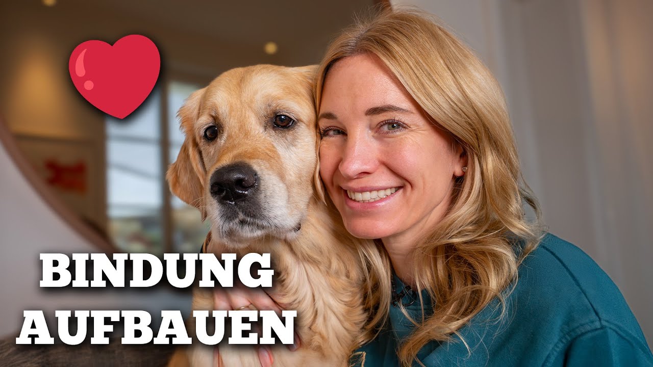 Bindung zum Hund aufbauen - Warum sie manchmal einfach nicht entsteht