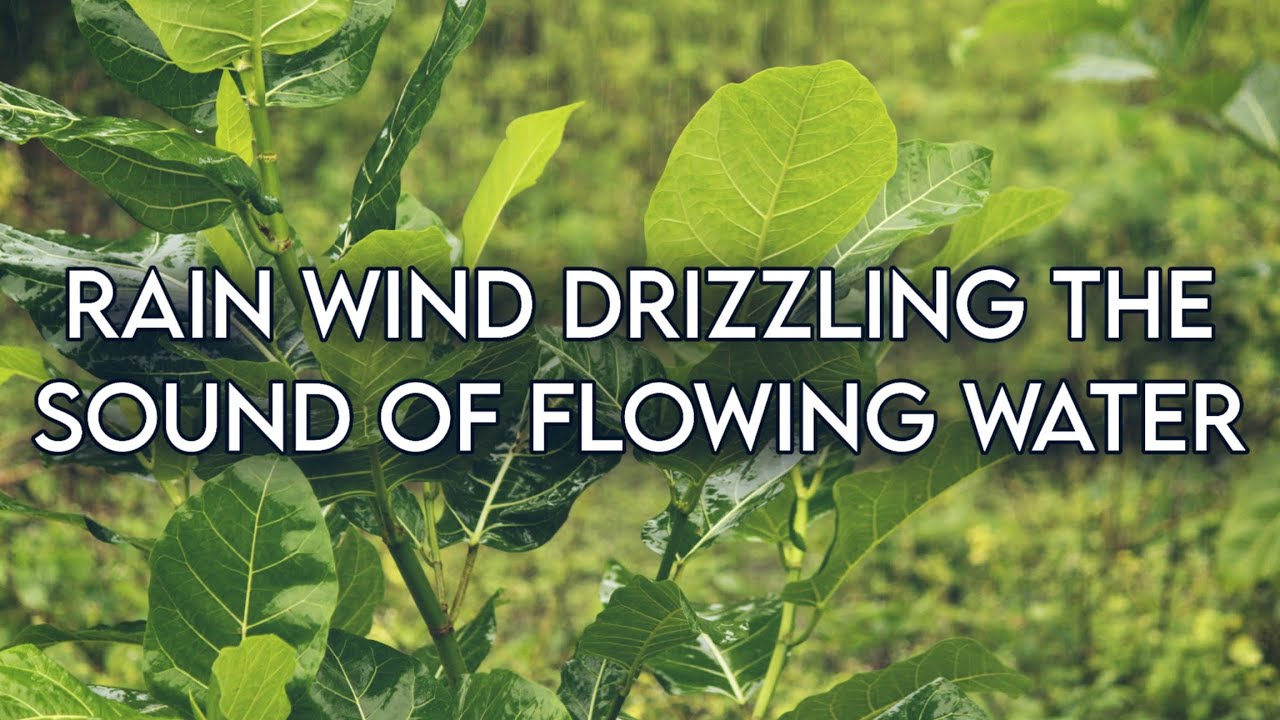 RAIN WIND DRIZZLING THE SOUND OF FLOWING WATER |984420|