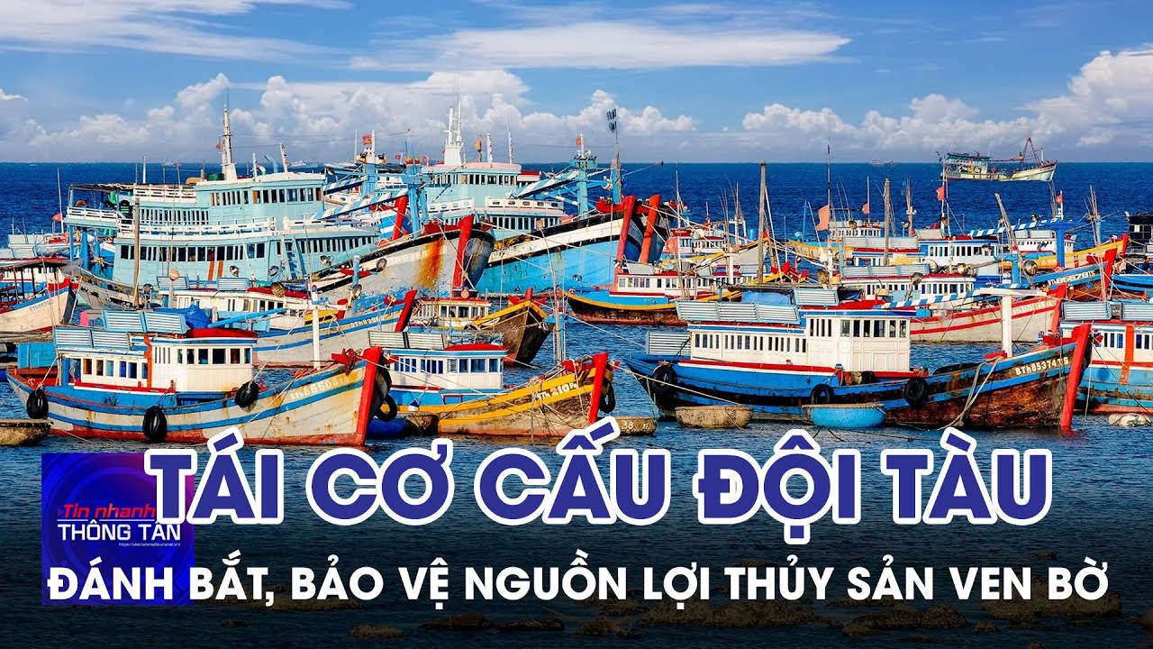 Tái cơ cấu đội tàu đánh bắt, bảo vệ nguồn lợi thủy sản ven bờ | Tin nhanh Thông tấn