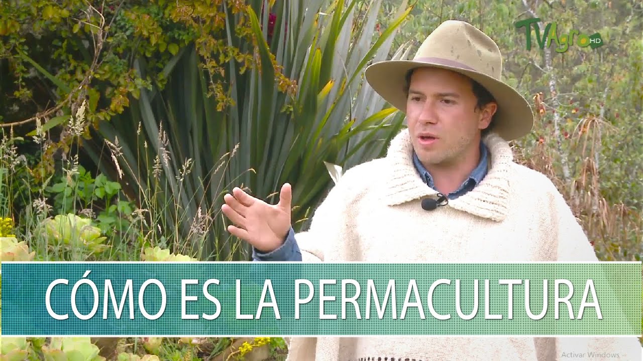 Como es la permacultura - TvAgro por Juan Gonzalo Angel Restrepo