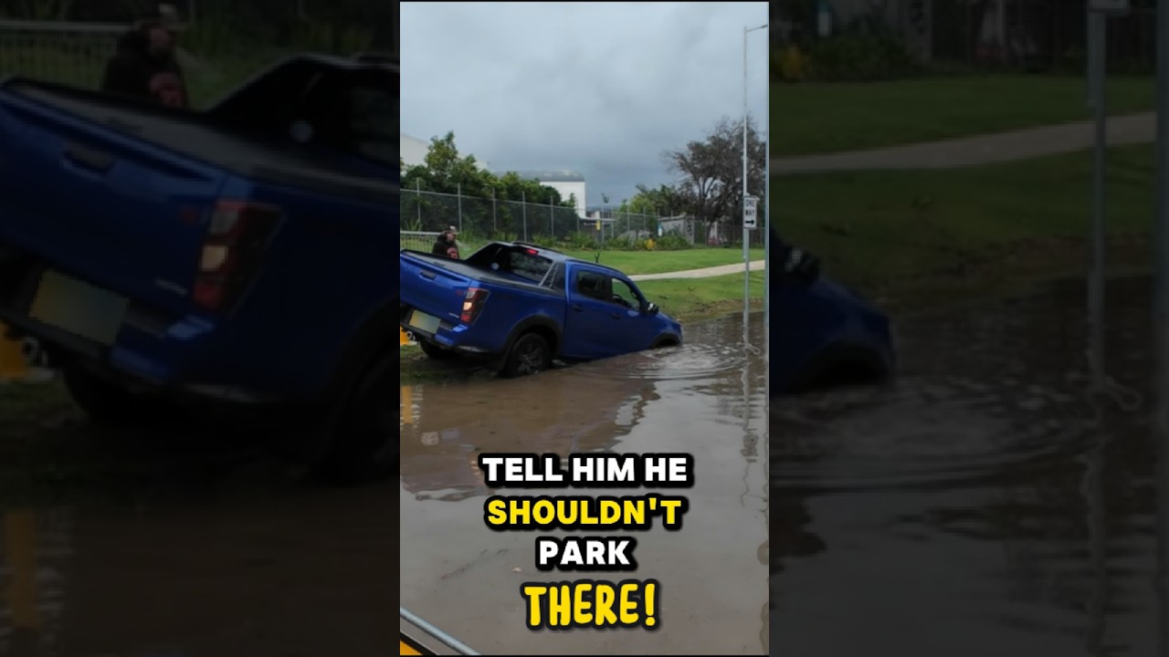 Road Rage Incident ANGRY Tesla Driver LOSES IT 