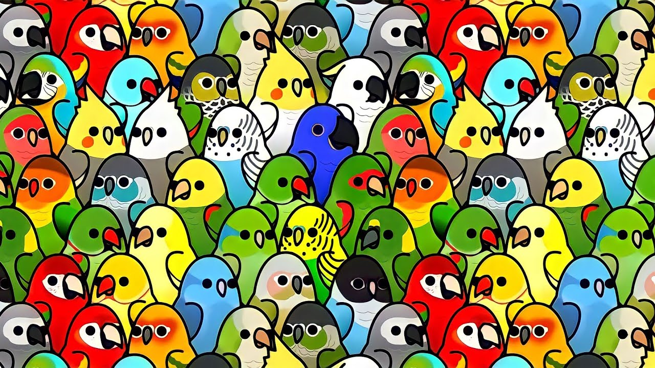 Too Many Birds 1. Episode