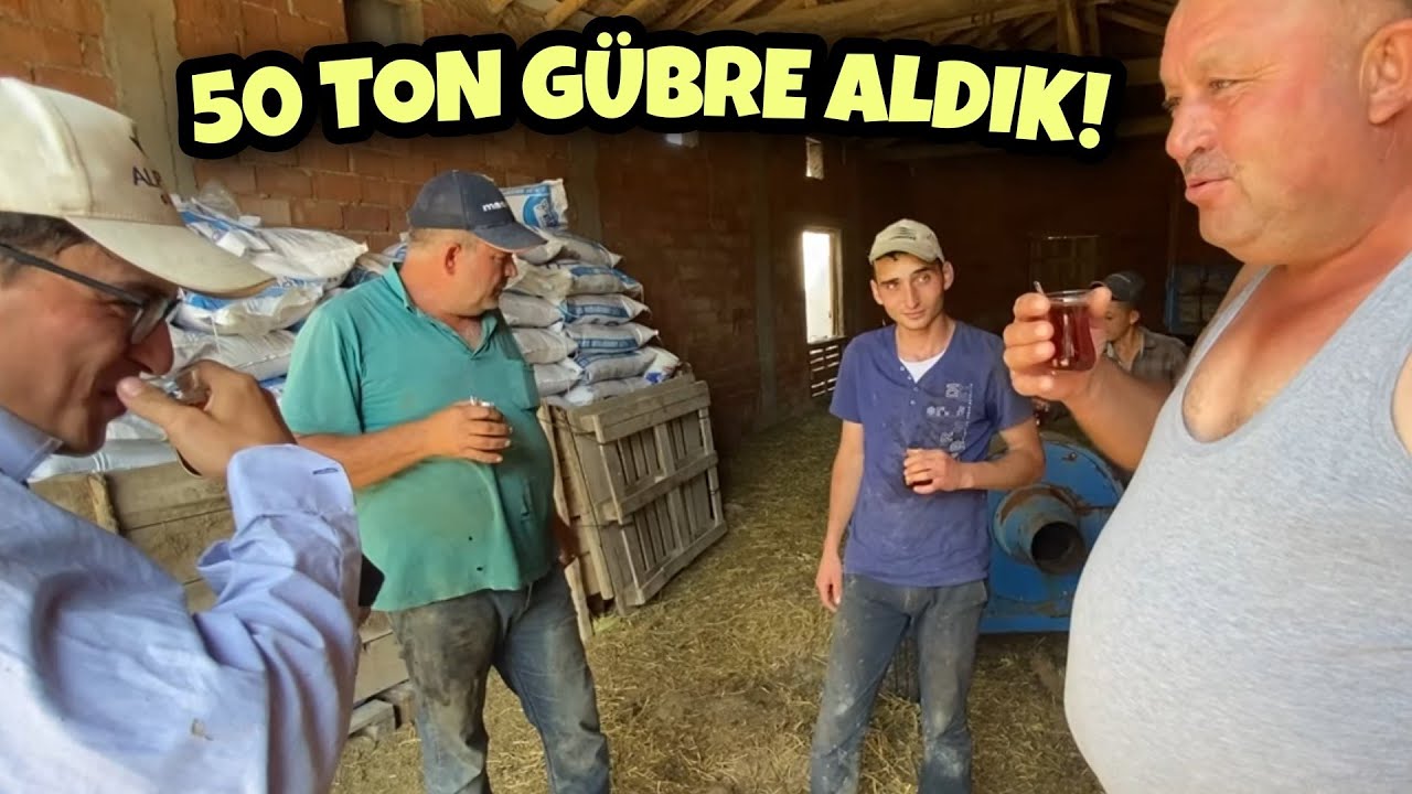 GÜBRE YIKIMINA ÇAY MOLASI. ARABA MI, GÜBRE Mİ ?