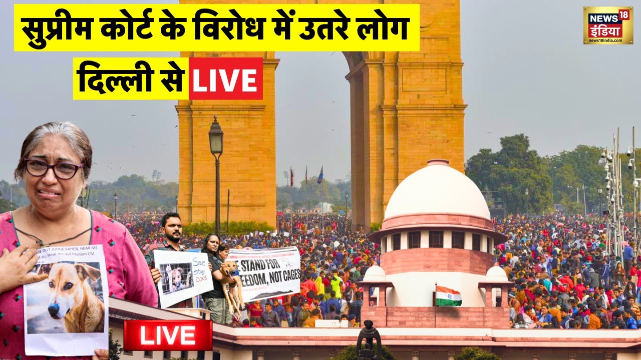 Dog Lovers Protest in Delhi Live: Supreme Court Orders on Stray Dogs from streets | Animal Lovers