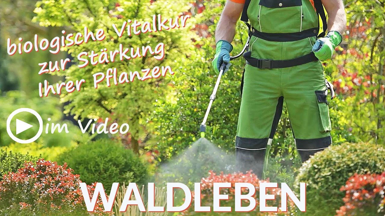WALDLEBEN &ndash; die biologische Vitalkur f&uuml;r Ihre Pflanzen &ndash; aus der Natur, f&uuml;r die Natur