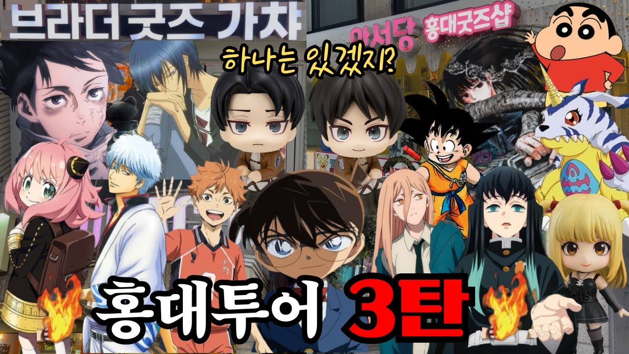 네가 좋아하는 것 하나쯤은 있겠지 | 굿즈샵 약 30곳 오타쿠 브이로그 3편