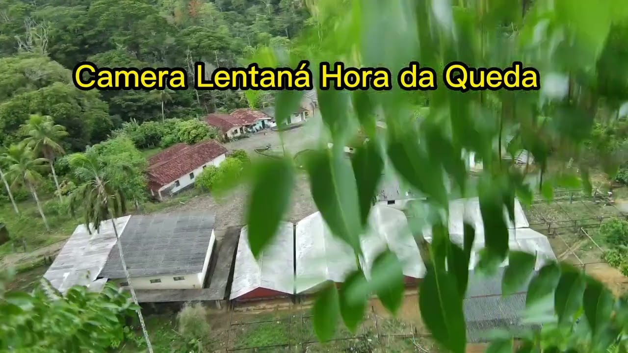 Perdi o DRONE FIMI MINI 3 SE  Drone?  tomou Muita Chuva Depois que Caiu na Floresta