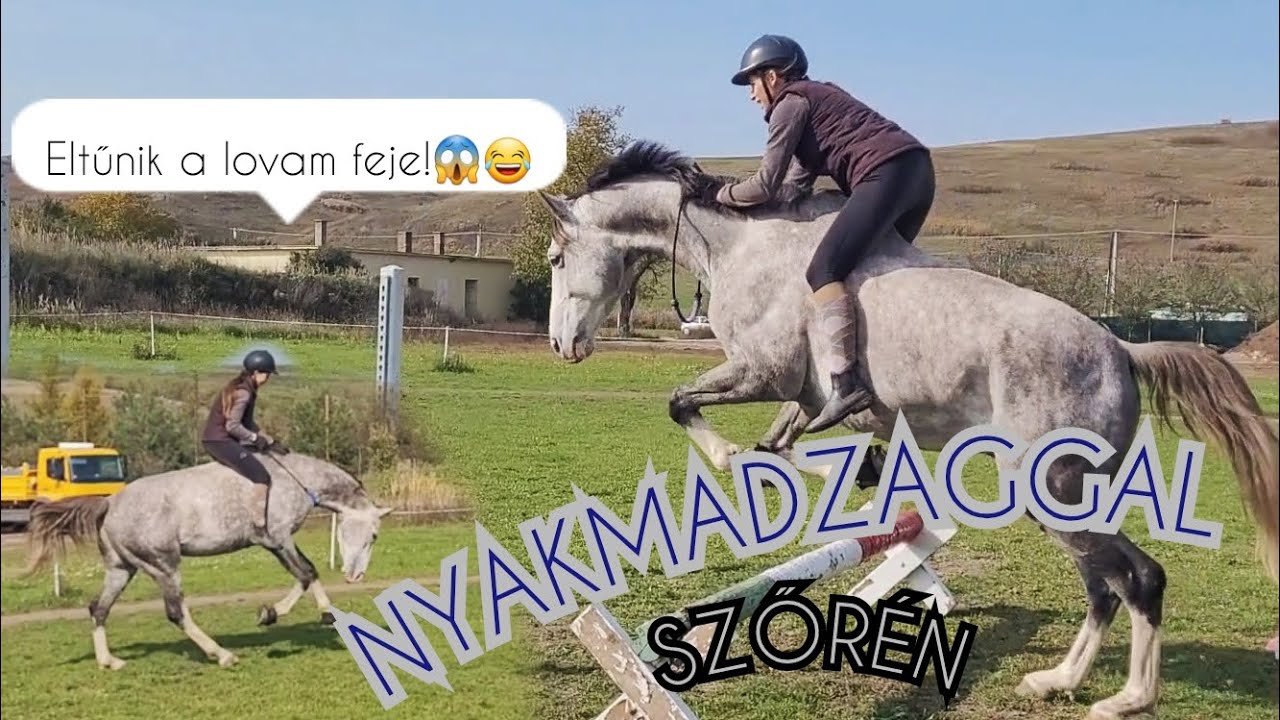 Lovaglás nyakmadzaggal - szőrén Indivel