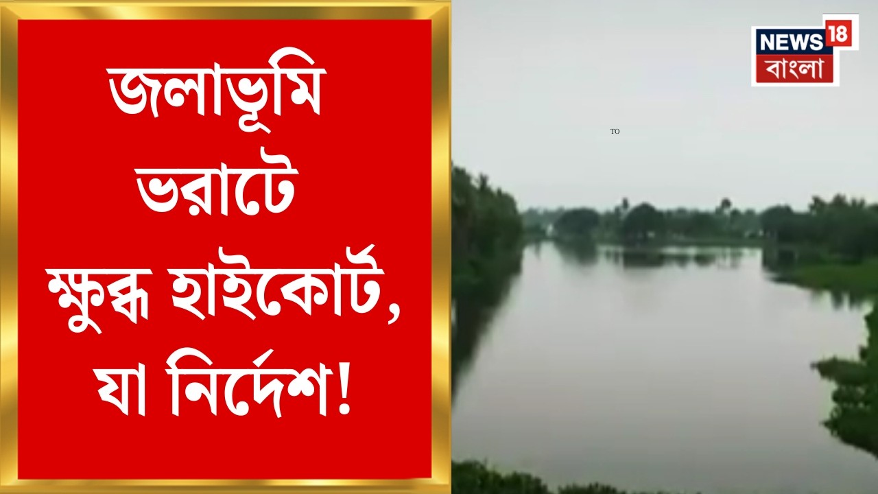 Kolkata Wetland | জলাভূমি ভরাটে ক্ষুব্ধ হাইকোর্ট, ওয়েটল্যান্ড অথরিটির ক্ষমতা কাড়ার হুঁশিয়ারি