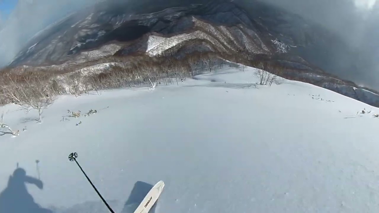 2026.2.6支笏湖周辺の疎林を３本