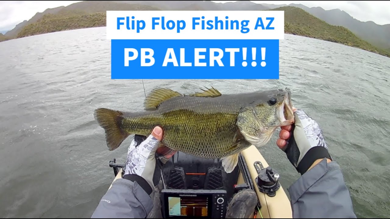 PB ALERT!!! Catching Big Bass at Apache Lake, AZ
