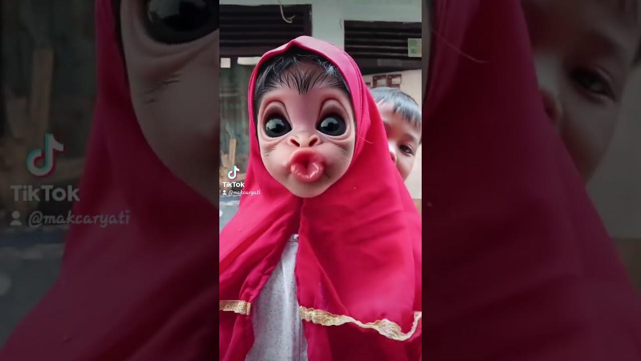 cilukkk baa 