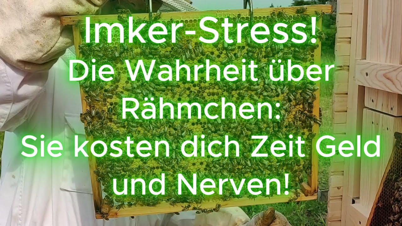 Imker-Messe Apisticus-Tag: DIESE R&auml;hmchen machen nur Stress! Nat&uuml;rlich Imkern +Tierwohl beachten.