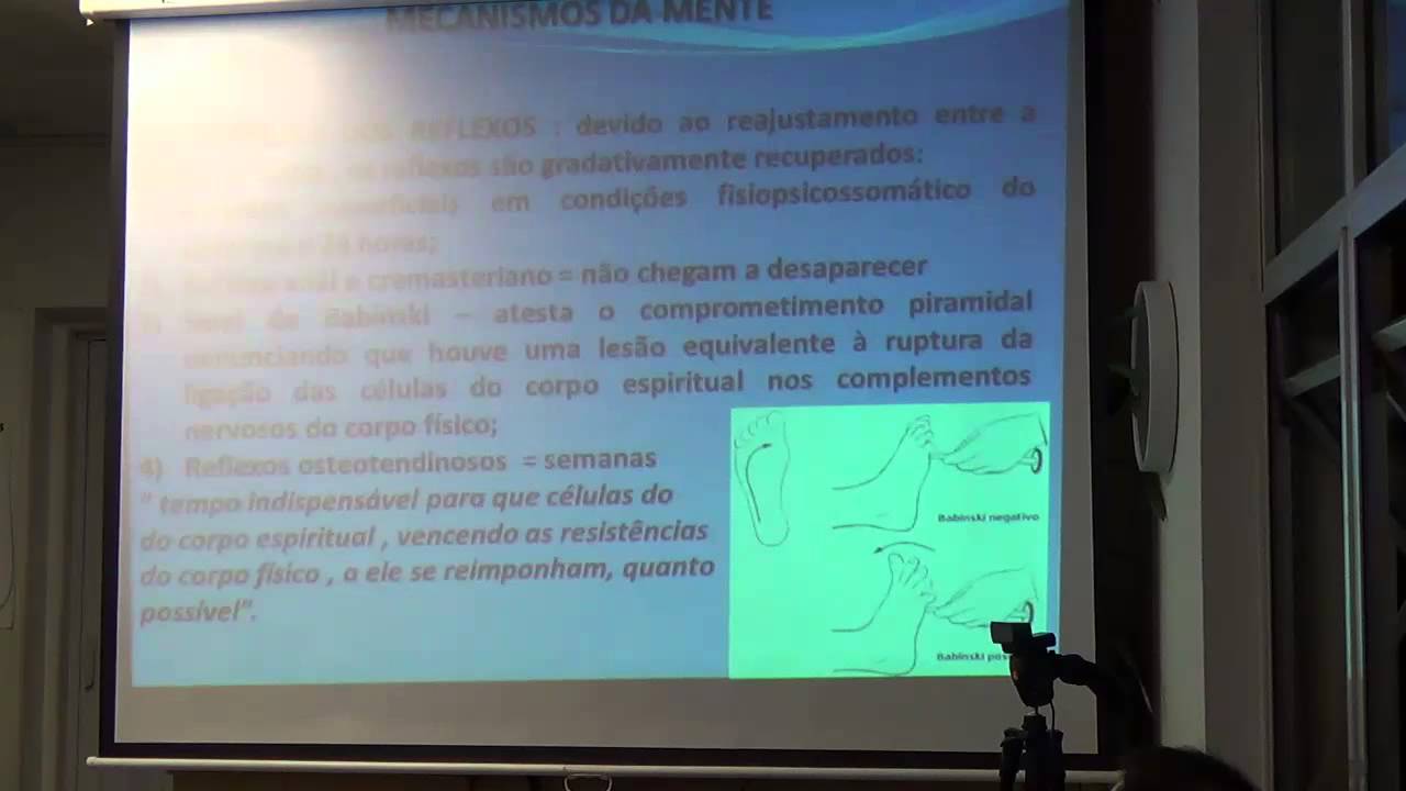 EEDM: Mecanismo da Mente