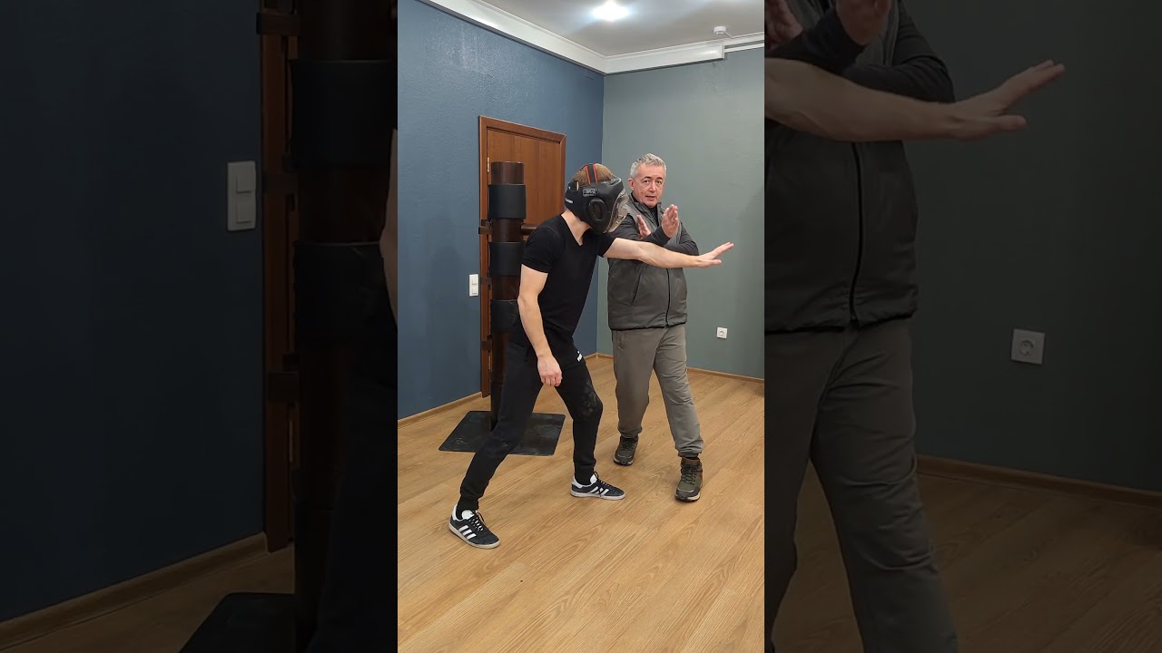 Wing Chun explained (Вин Чун с расшифровкой) #wingchun #kungfu #china  #кунгфу #винчун #самозащита