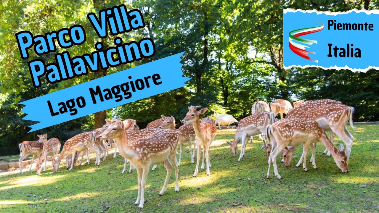 Parco di Villa Pallavicino 🌿🐾 | Stresa e Lago Maggiore 4K 🌊🌸